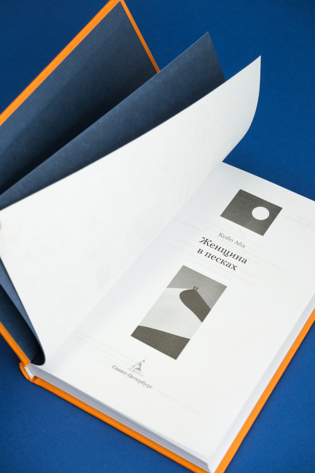 Промо материал к книге "Женщина в песках" №4