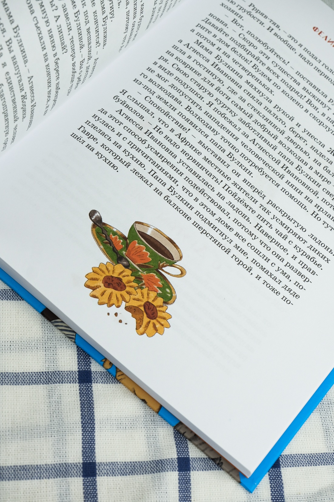 Промо материал к книге "Феликс Булкин" №9