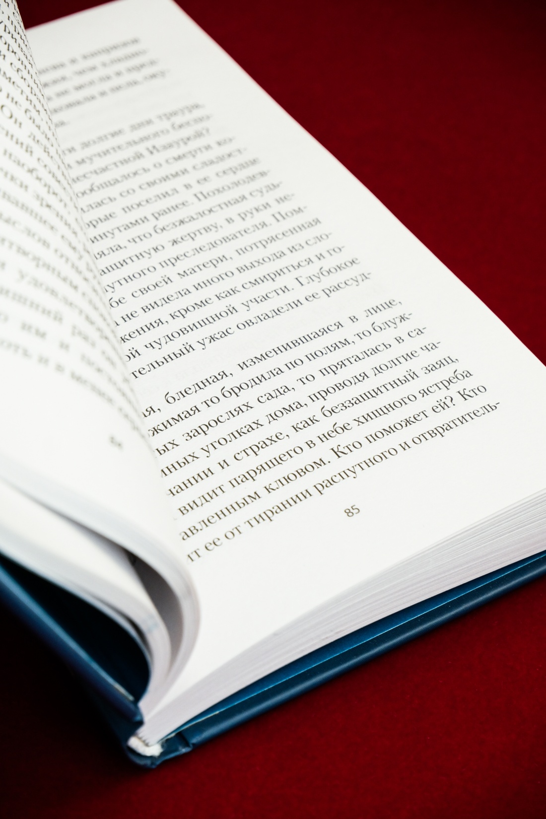 Промо материал к книге "Рабыня Изаура" №14