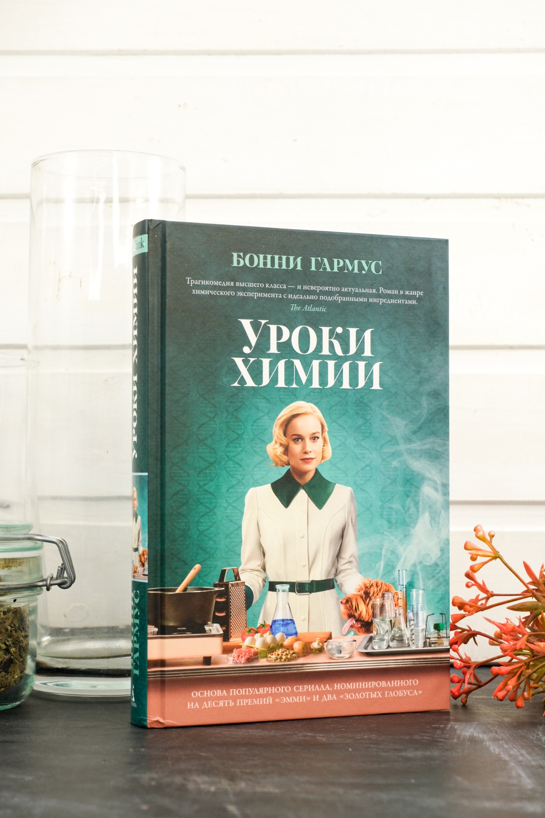 Промо материал к книге "Уроки химии" №16