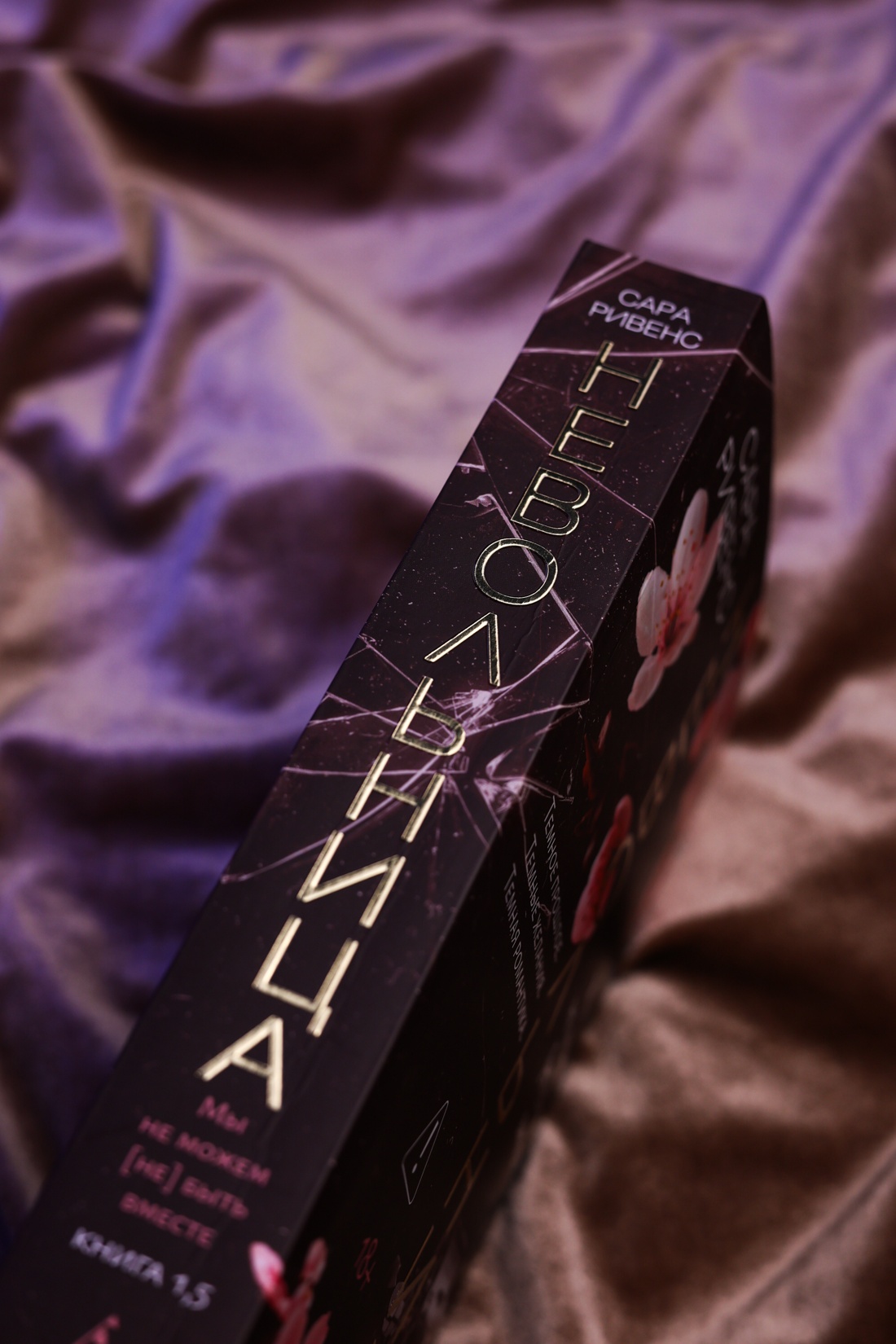 Промо материал к книге "Невольница. Книга 1.5" №12