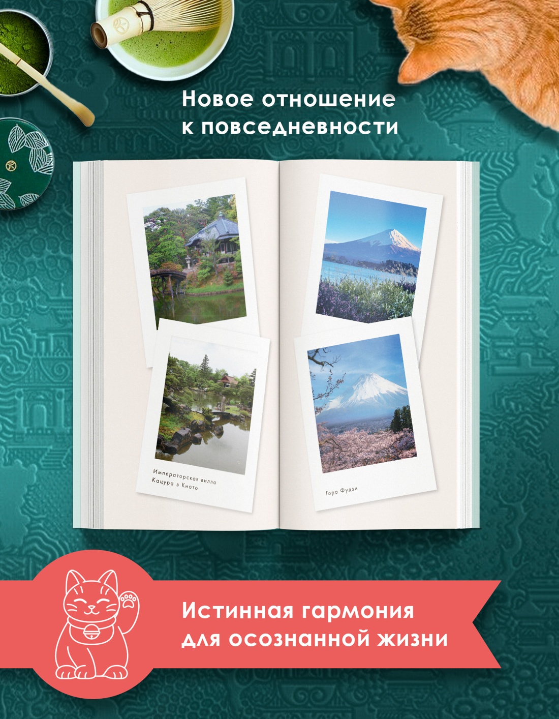 Промо материал к книге "Нагоми" №1