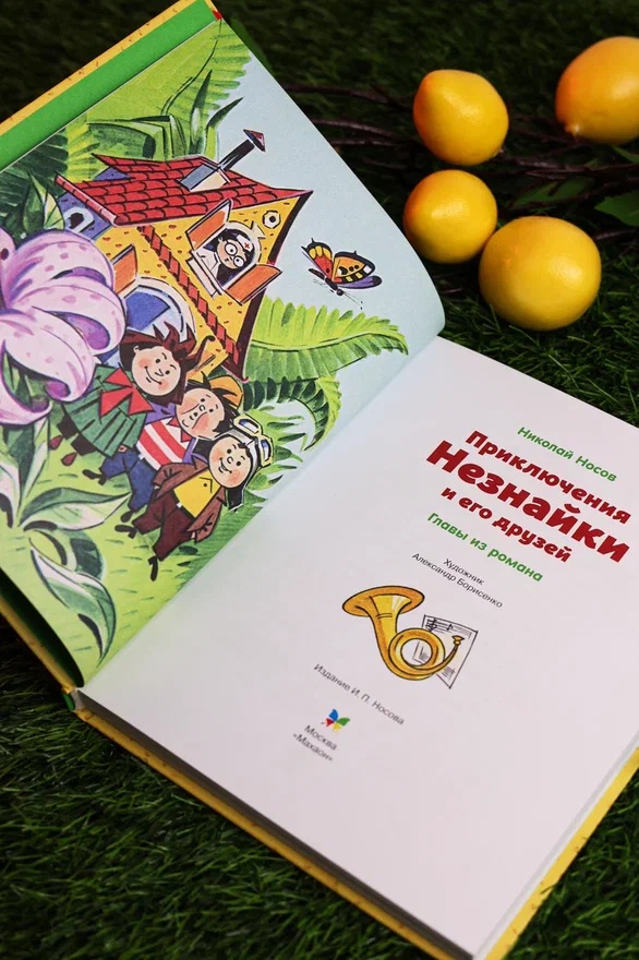Промо материал к книге "Приключения Незнайки и его друзей. Главы из романа" №6