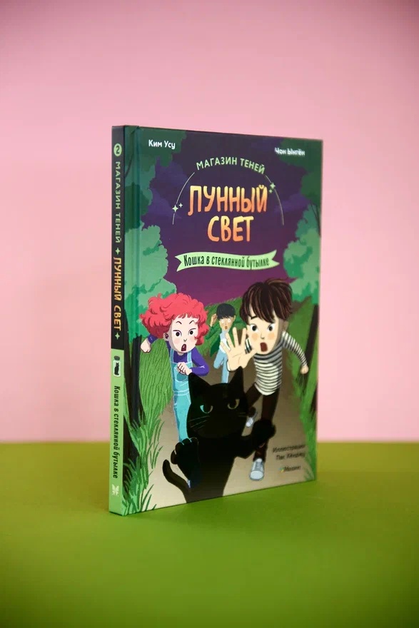 Промо материал к книге "Магазин теней «Лунный свет». Книга 2. Кошка в стеклянной бутылке" №6