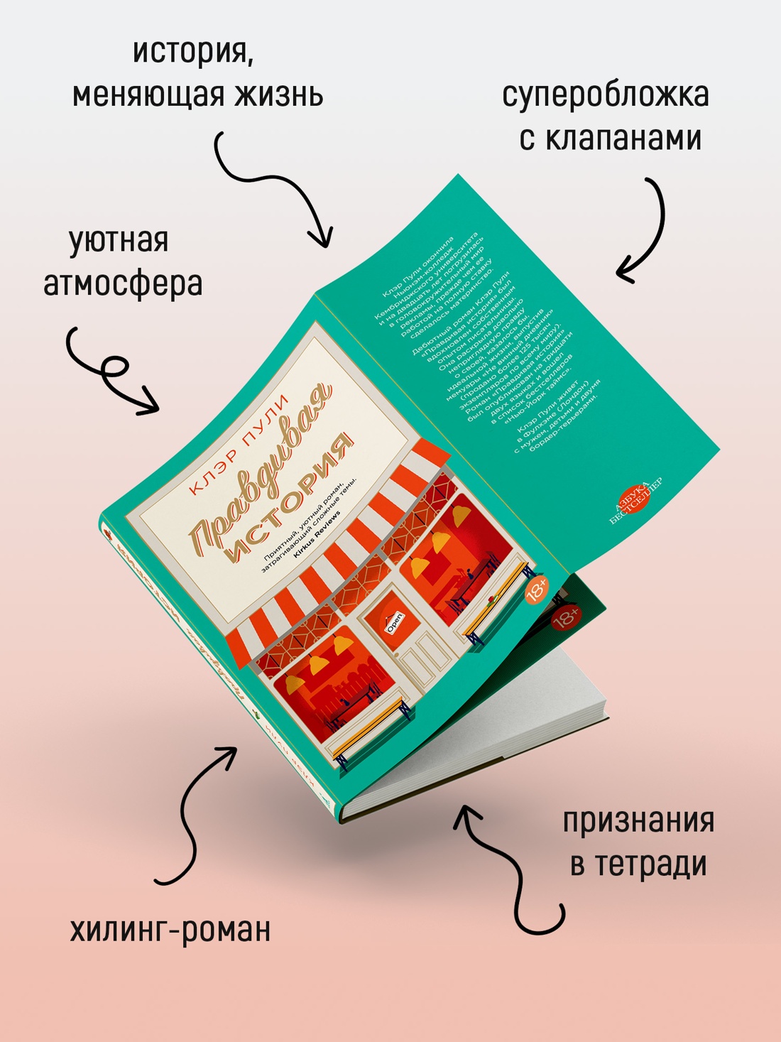 Промо материал к книге "Правдивая история (мягкая с клапанами)" №2
