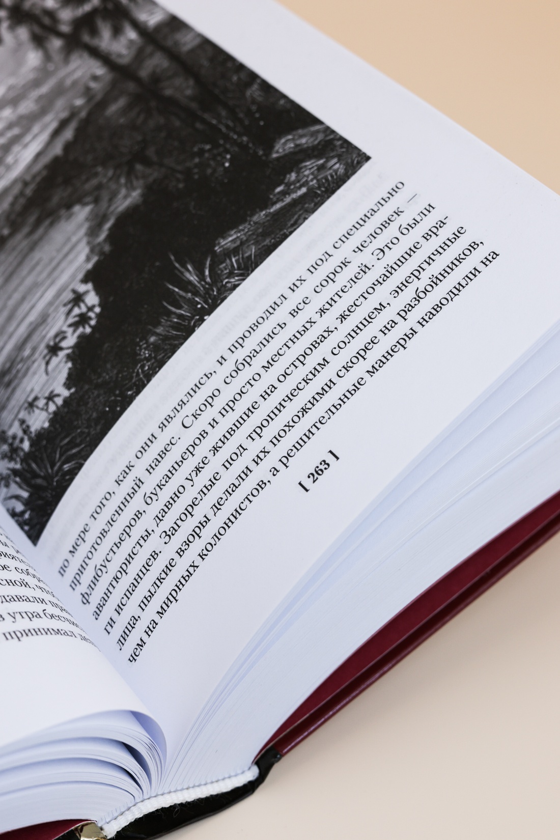 Промо материал к книге "Авантюристы. Морские бродяги. Золотая Кастилия" №10