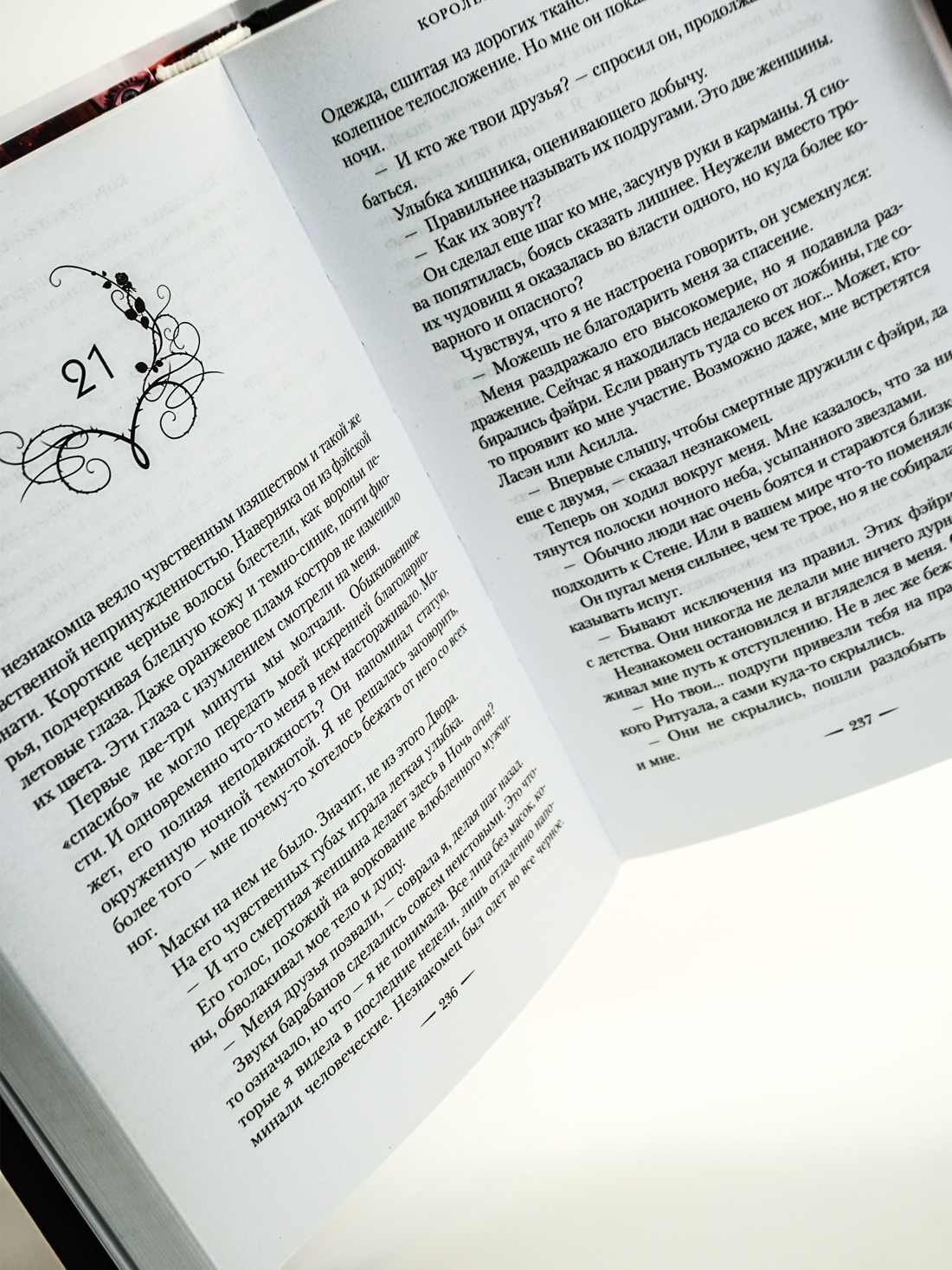 Промо материал к книге "Королевство шипов и роз" №2