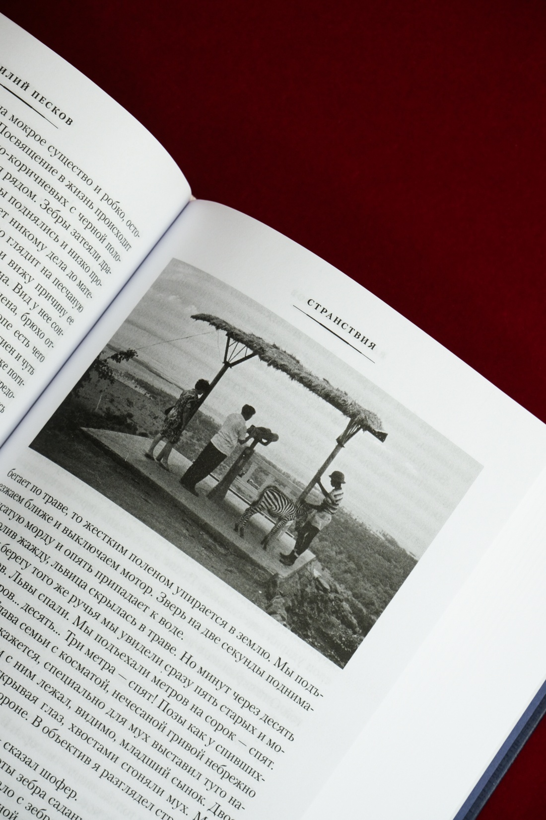 Промо материал к книге "Таежный тупик. Странствия" №5