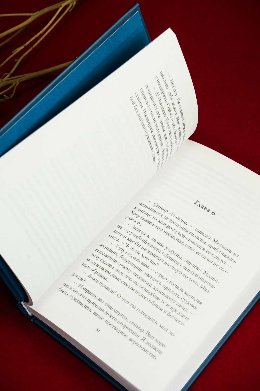 Промо материал к книге "Рабыня Изаура" №13