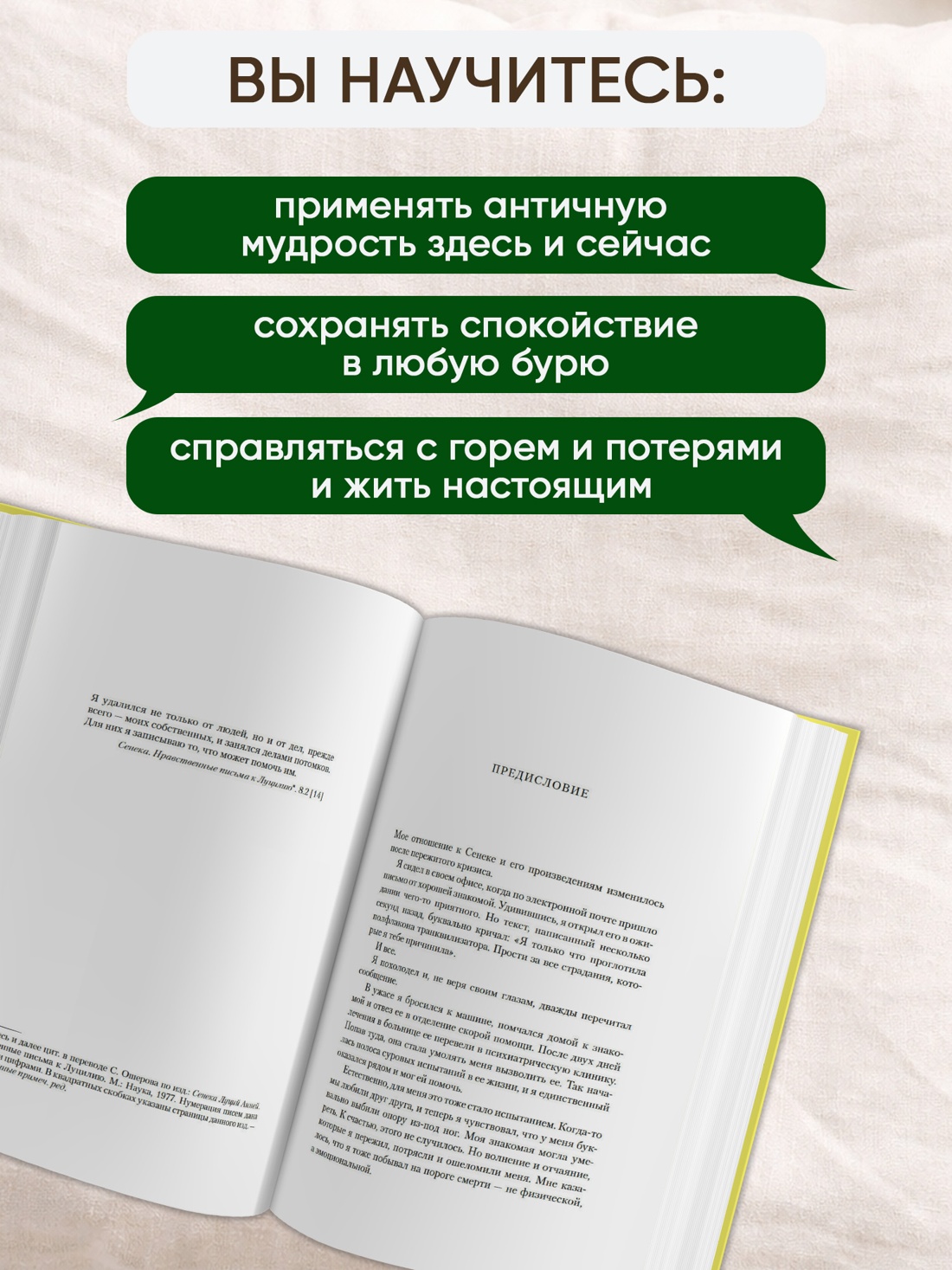 Промо материал к книге "Завтрак с Сенекой. Как стать безмятежным и счастливым с помощью брутального стоицизма" №1