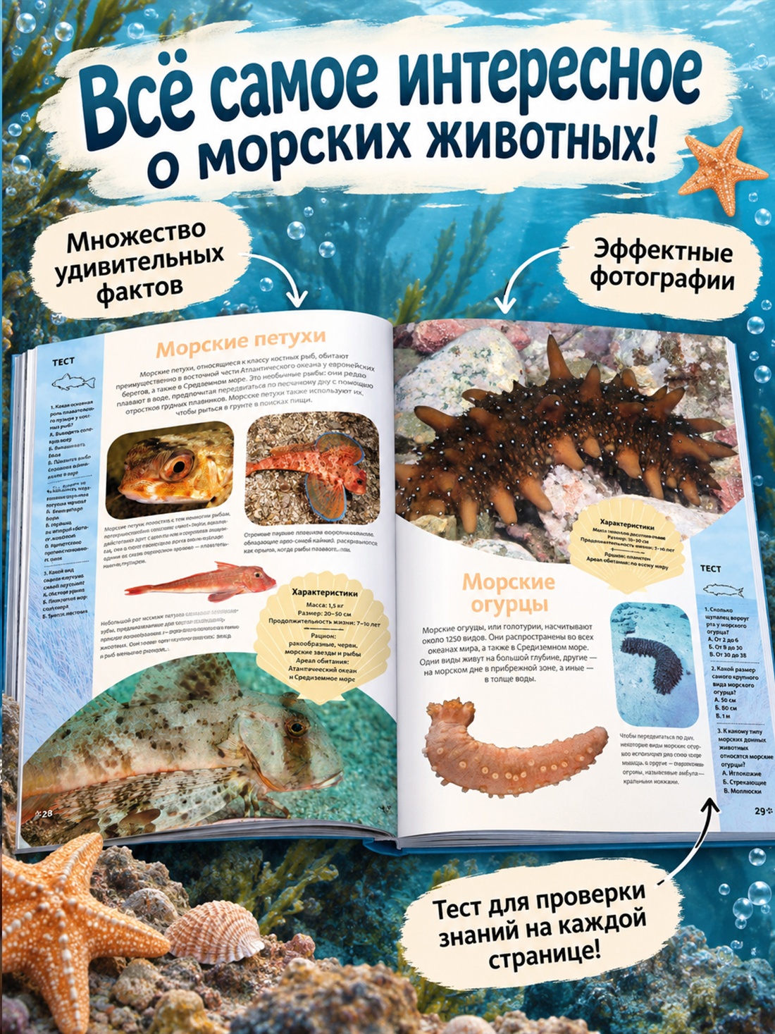 Промо материал к книге "Животные морей и океанов. Большая школьная энциклопедия" №1