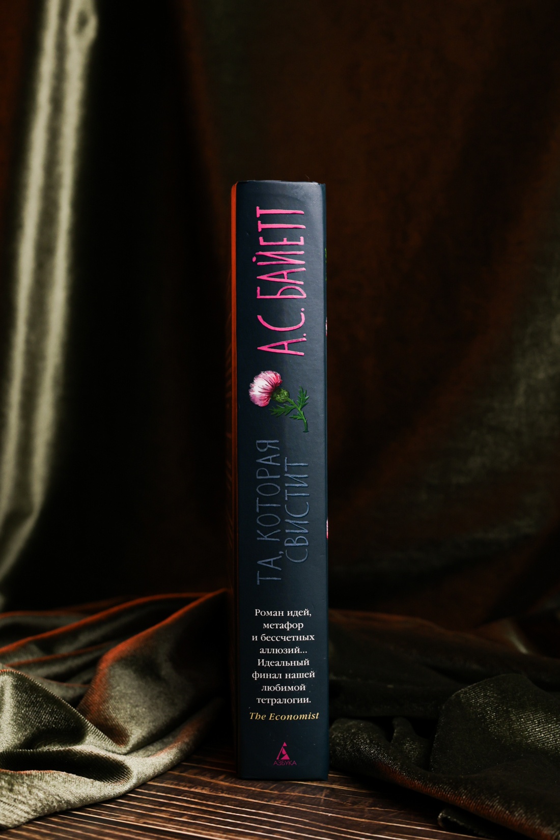 Промо материал к книге "Та, которая свистит" №8