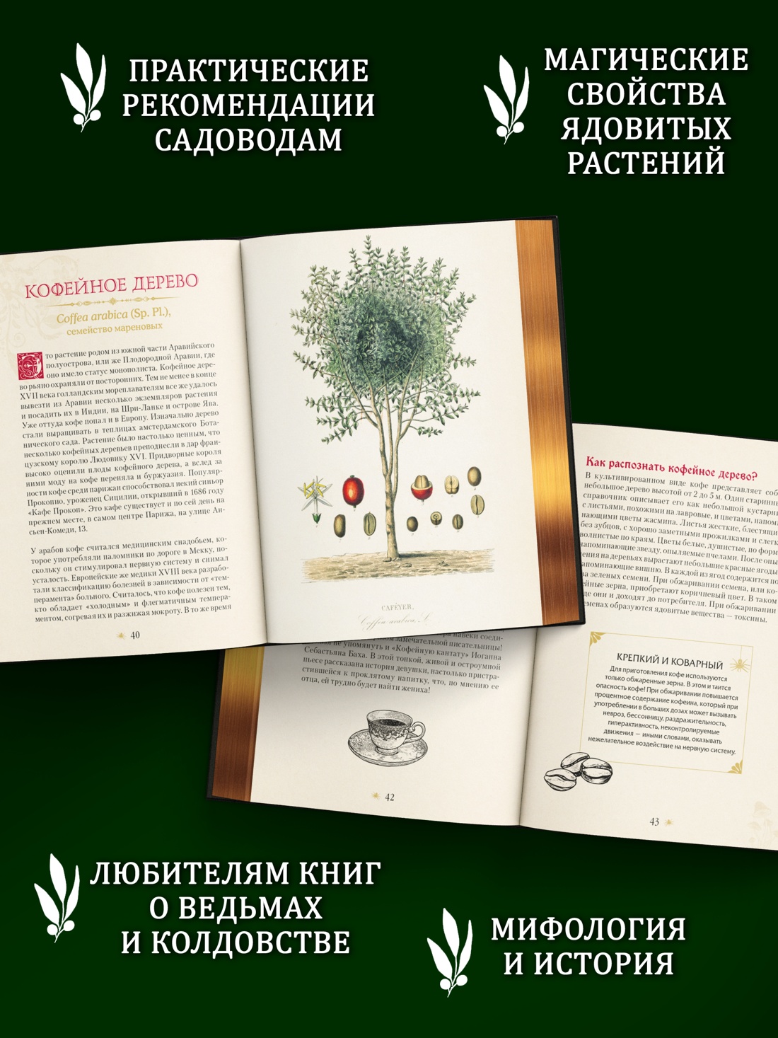 Промо материал к книге "Яды. Секретная сила растений" №1