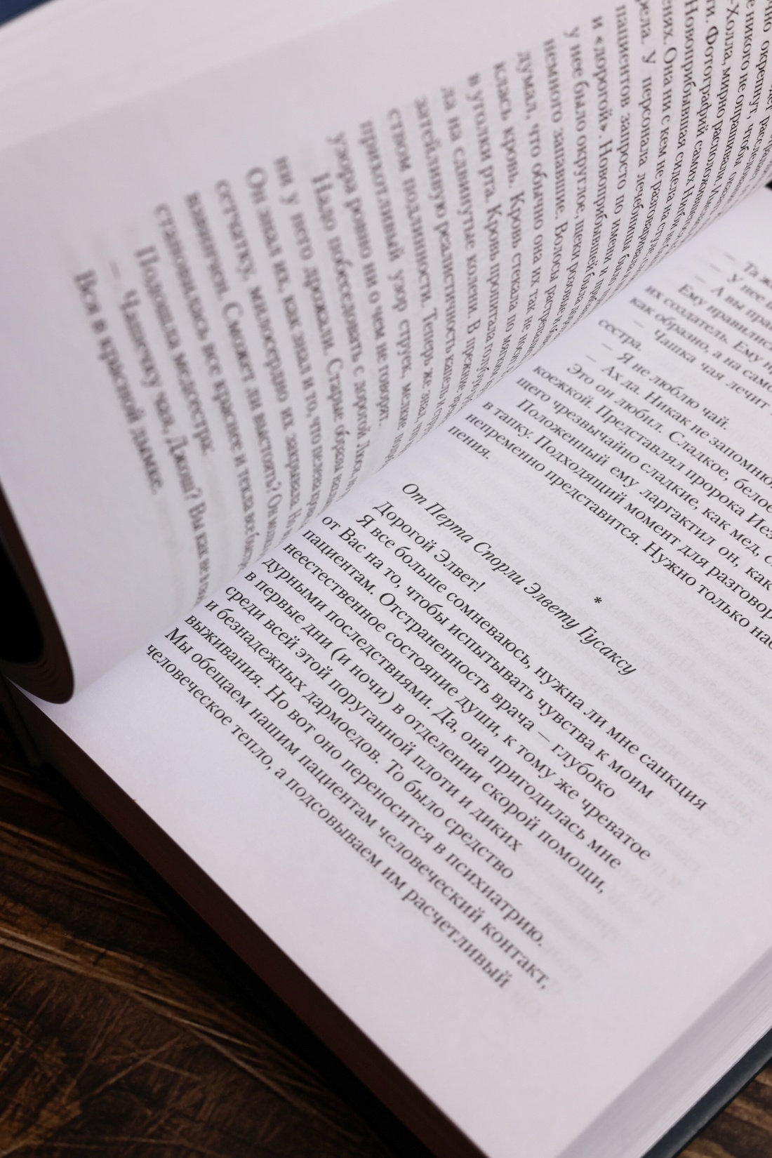 Промо материал к книге "Та, которая свистит" №15