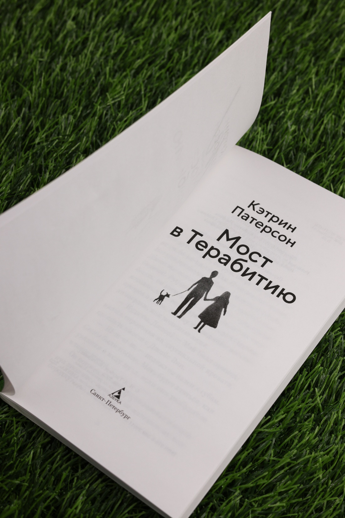 Промо материал к книге "Мост в Терабитию (мягкая обложка)" №11