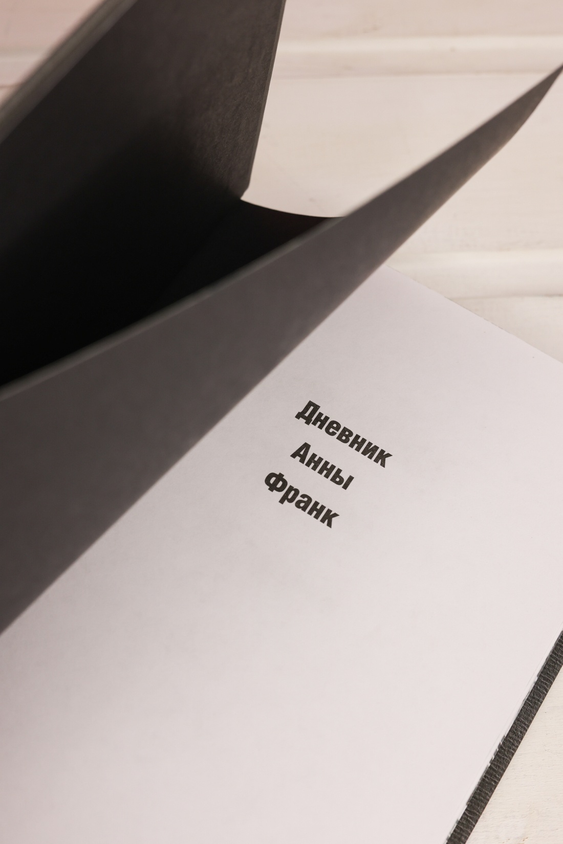 Промо материал к книге "Дневник Анны Франк" №7