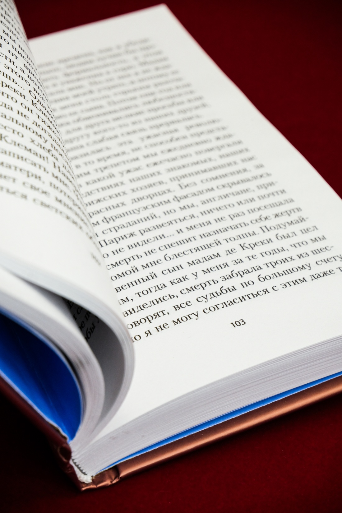 Промо материал к книге "Миледи Ладлоу" №9