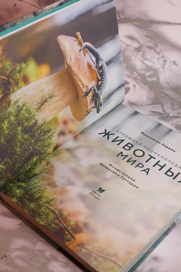 Промо материал к книге "Огромная энциклопедия животных мира" №7