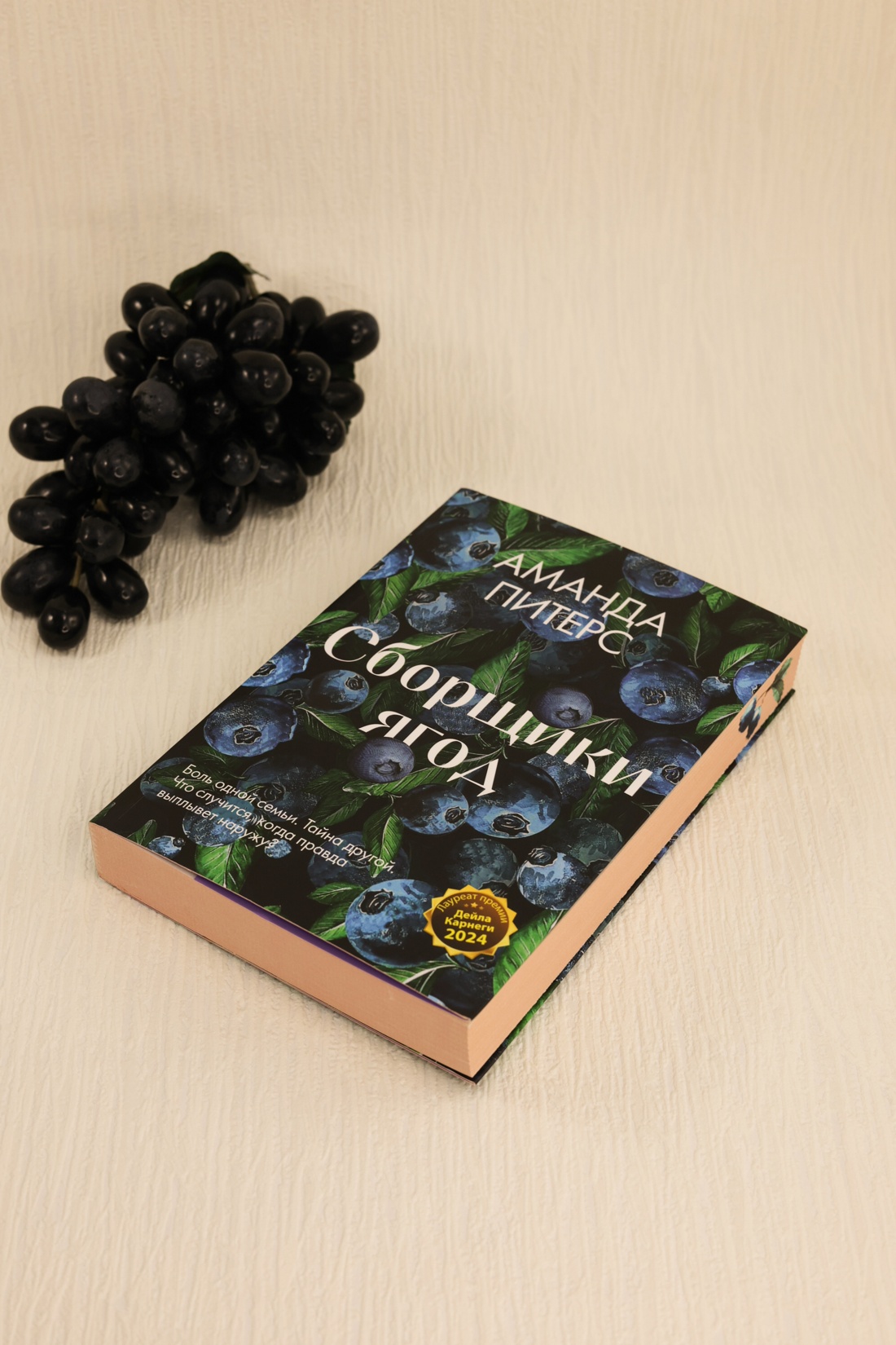 Промо материал к книге "Сборщики ягод" №8