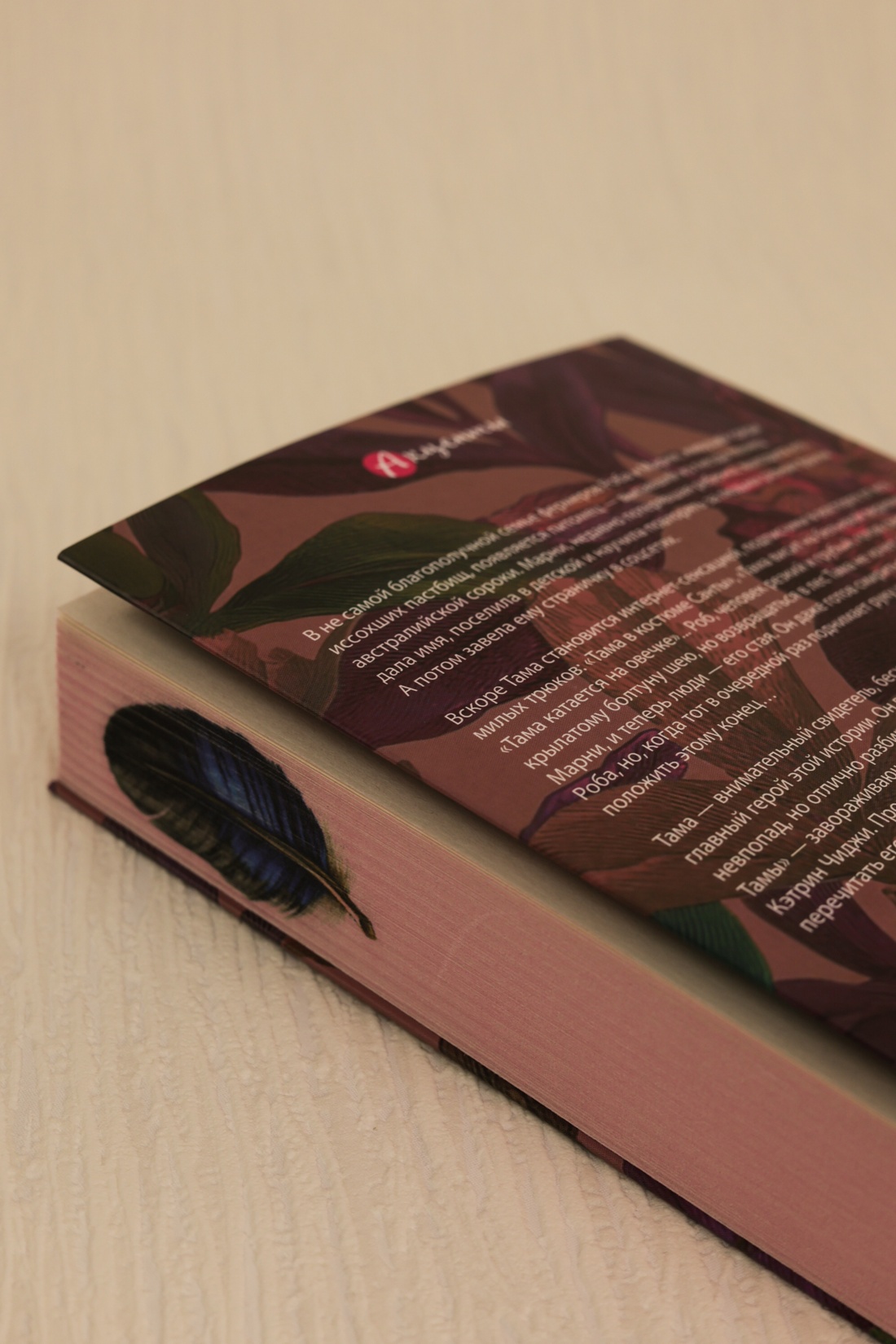 Промо материал к книге "Мир глазами Тамы" №15