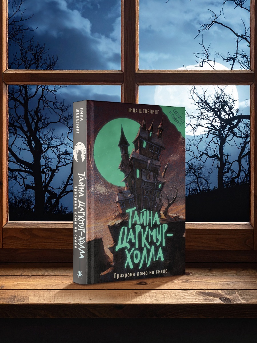 Промо материал к книге "Тайна Даркмур-Холла. Призраки дома на скале" №4