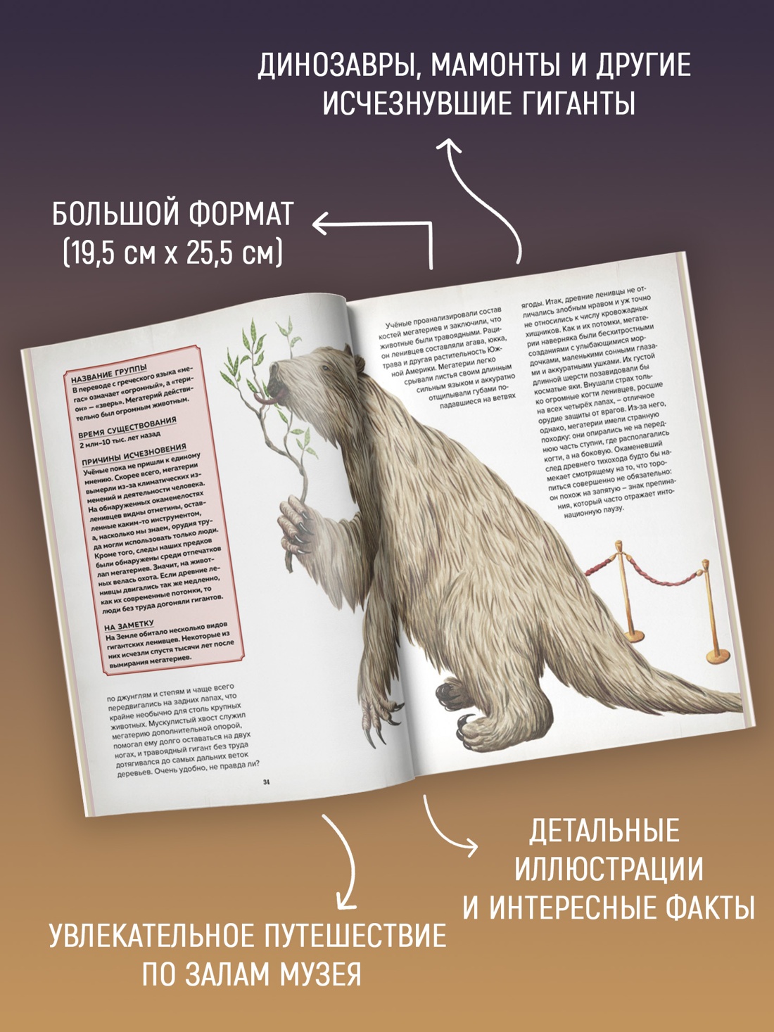 Промо материал к книге "Музей доисторических животных. Единороги, мамонты, динозавры и другие экспонаты" №1