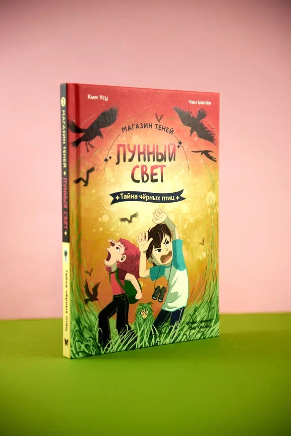 Промо материал к книге "Магазин теней «Лунный свет». Книга 3. Тайна чёрных птиц" №6