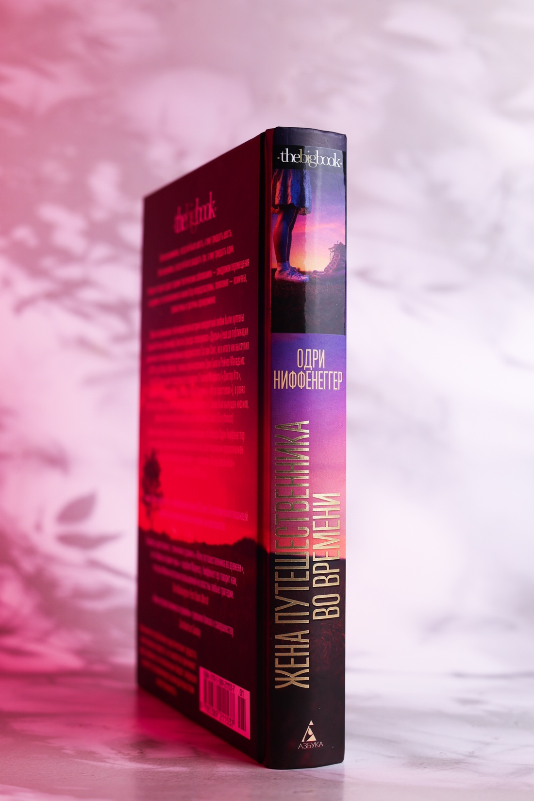 Промо материал к книге "Жена путешественника во времени (The Big Book)" №6
