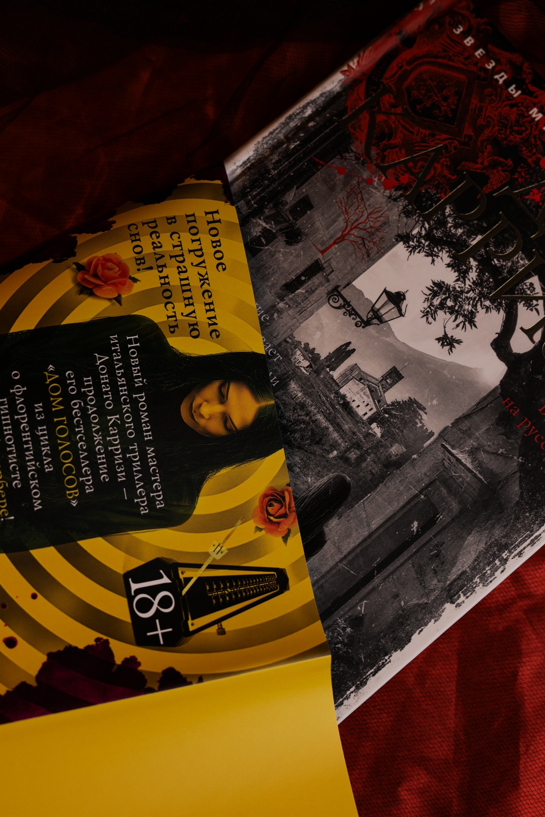 Промо материал к книге "Дом молчания" №6