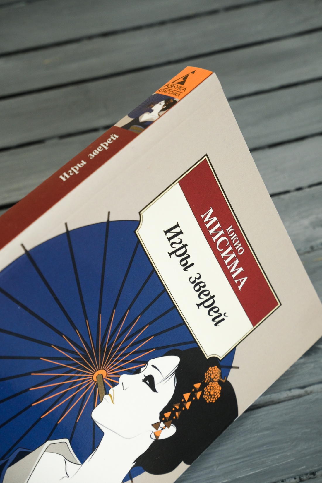 Промо материал к книге "Игры зверей" №5