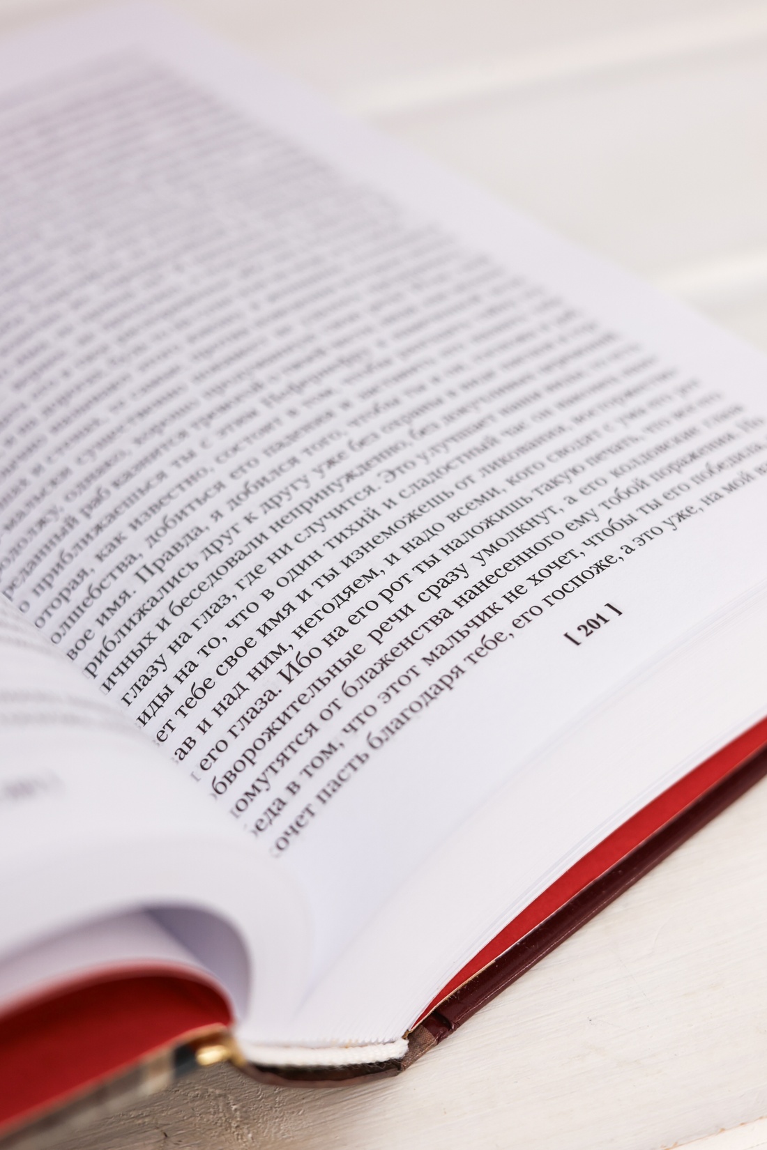 Промо материал к книге "Иосиф и его братья в 2 томах (комплект)" №11