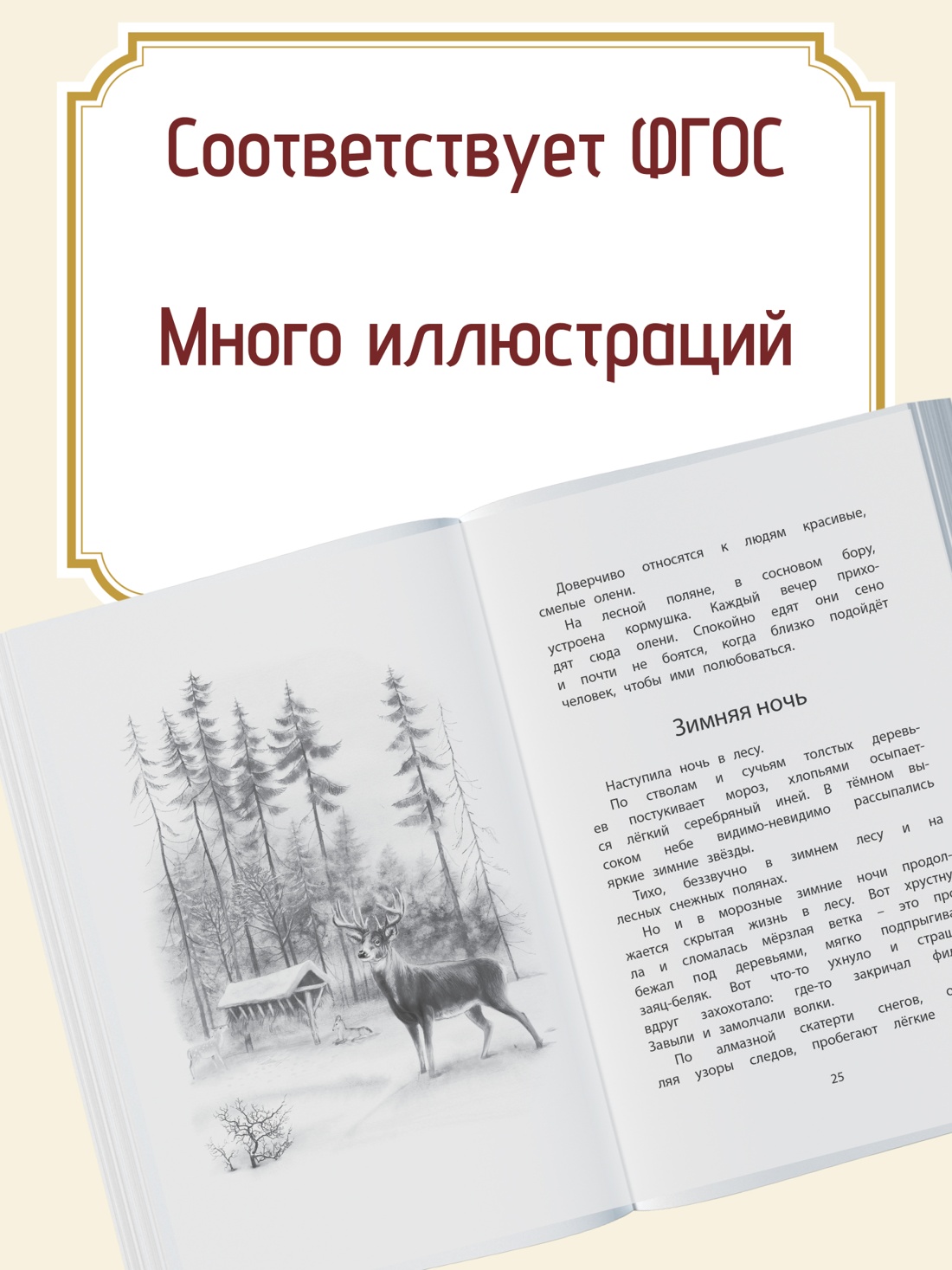 Промо материал к книге "Год в лесу" №1
