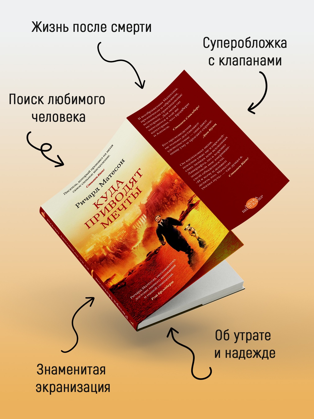Промо материал к книге "Куда приводят мечты (твердый)" №2