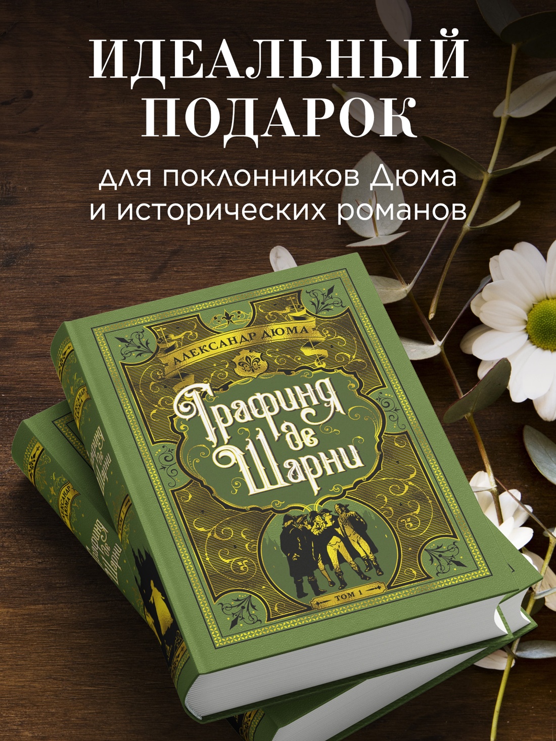 Промо материал к книге "Графиня де Шарни в 2 томах (комплект)" №3