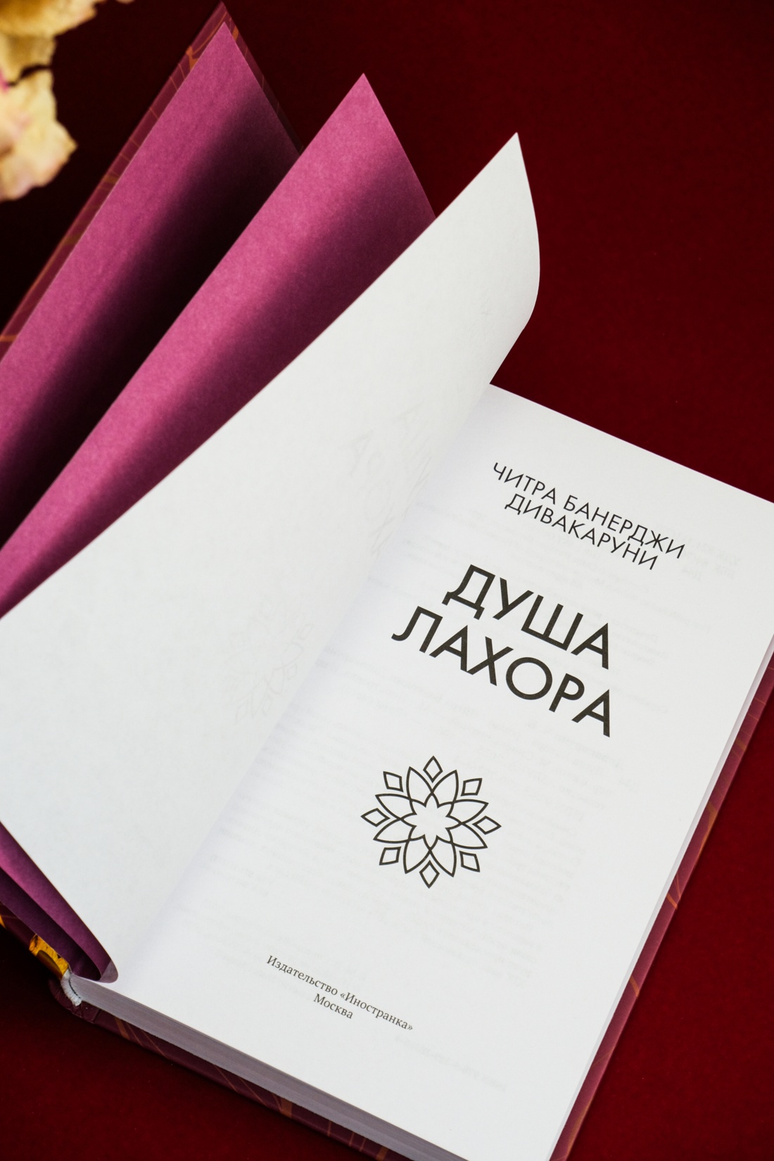 Промо материал к книге "Душа Лахора" №8