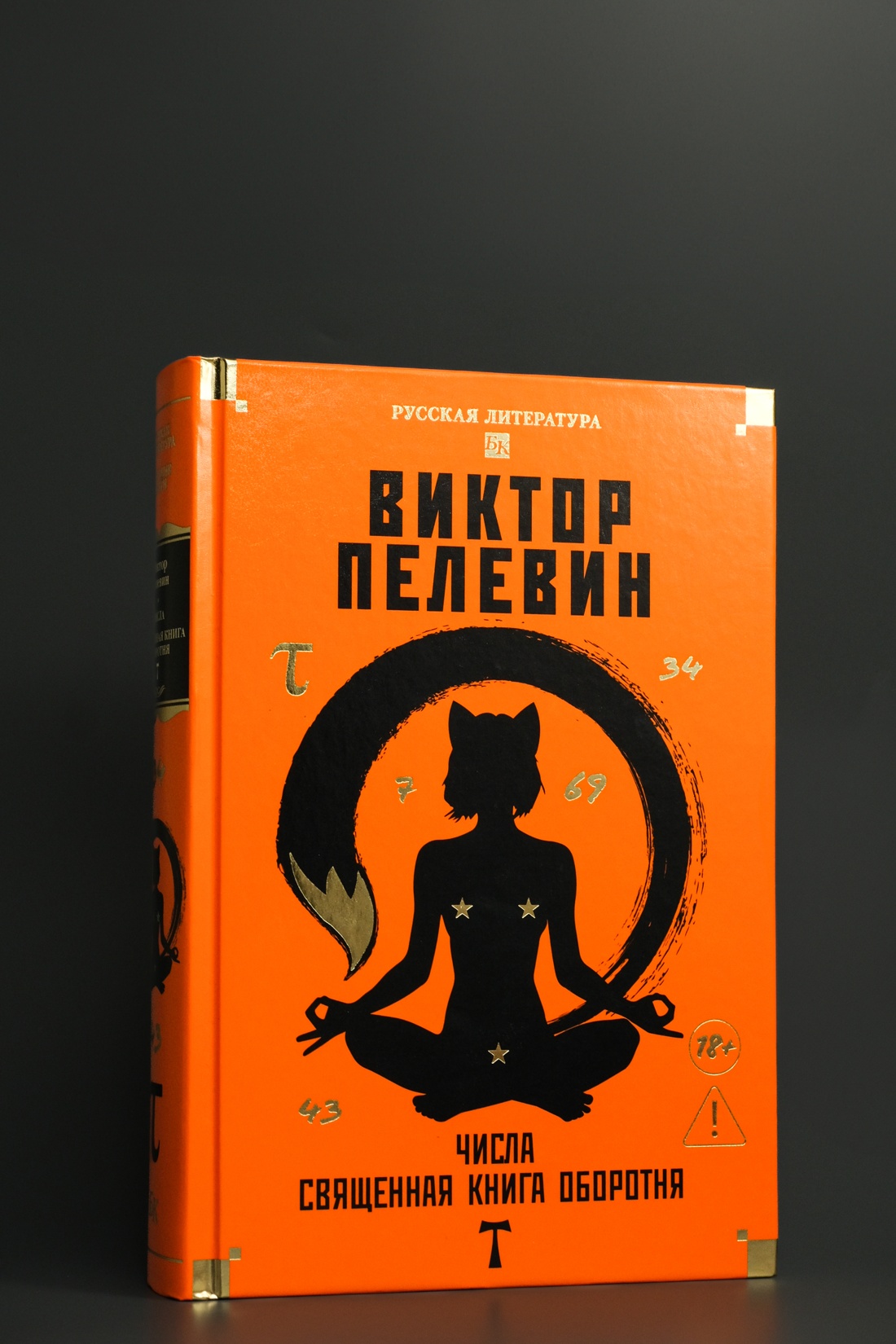 Промо материал к книге "Числа. Священная книга оборотня. T" №3