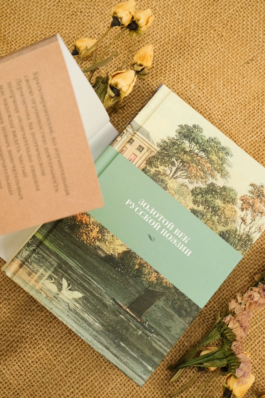 Промо материал к книге "Золотой век русской поэзии" №7
