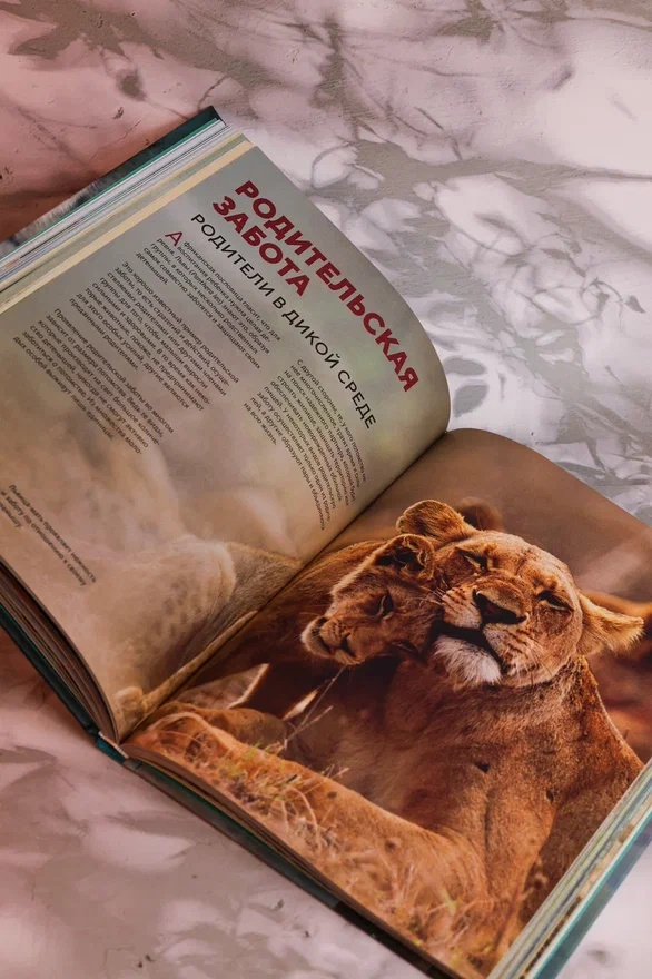 Промо материал к книге "Огромная энциклопедия животных мира" №11
