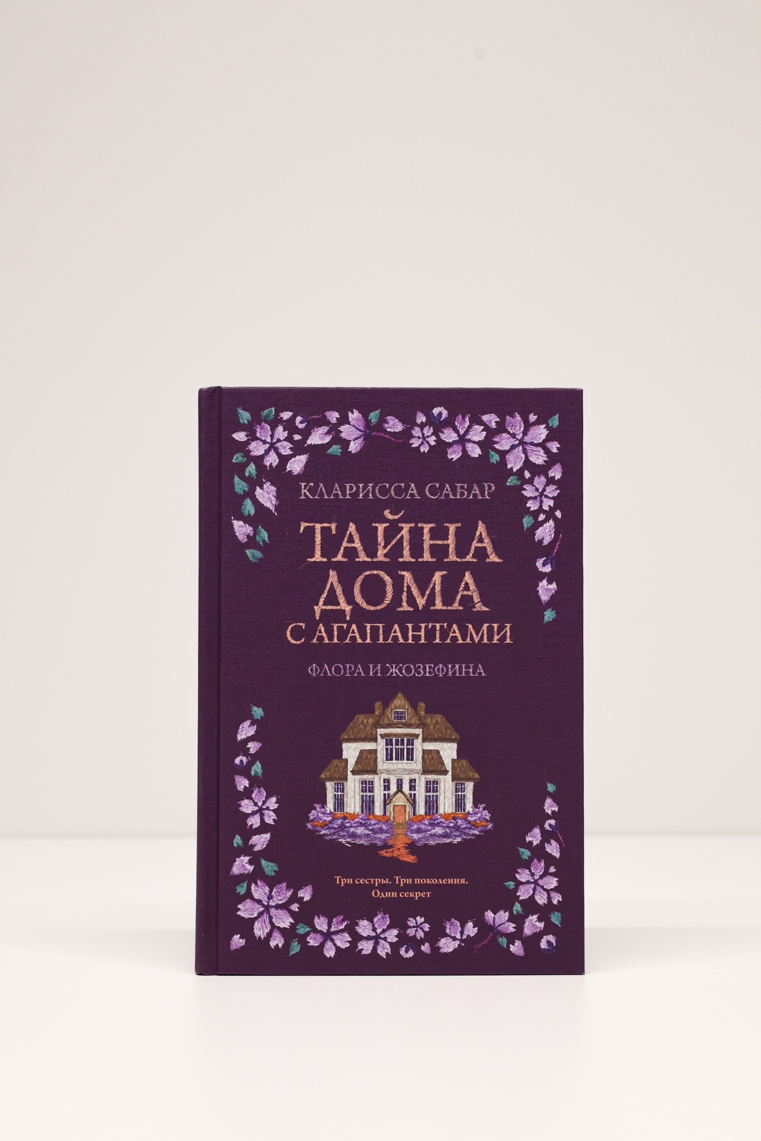 Промо материал к книге "Тайна дома с агапантами: Флора и Жозефина" №5