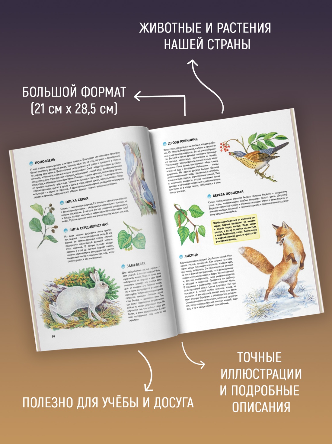 Промо материал к книге "Природа России. Иллюстрированная энциклопедия (Иллюстрированная энциклопедия)" №1