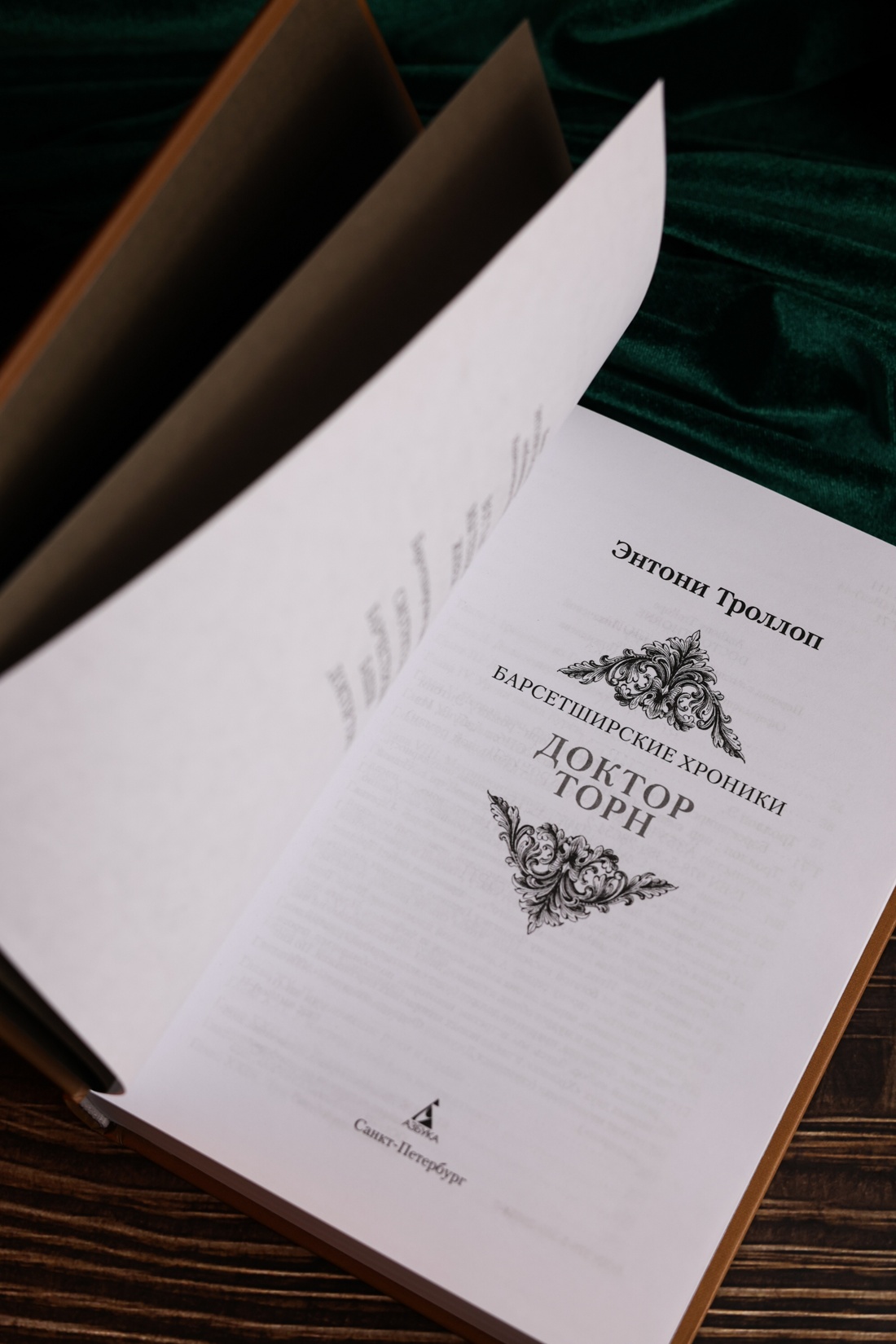 Промо материал к книге "Барсетширские хроники. Книга 2. Доктор Торн" №8