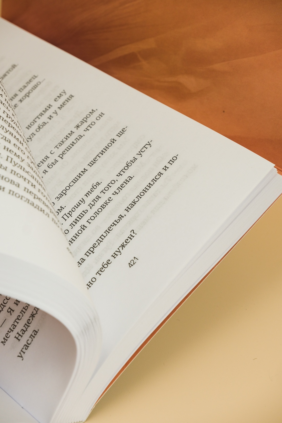 Промо материал к книге "Вариация" №13