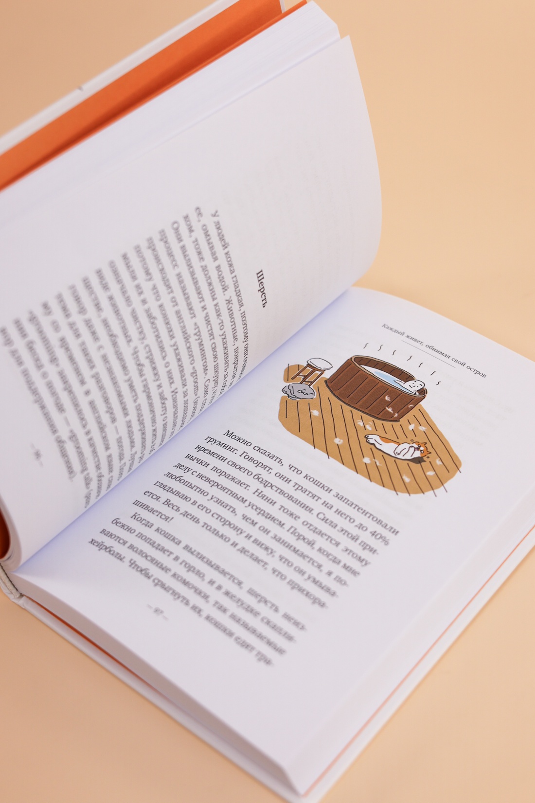 Промо материал к книге "Однажды ко мне пришел кот" №14