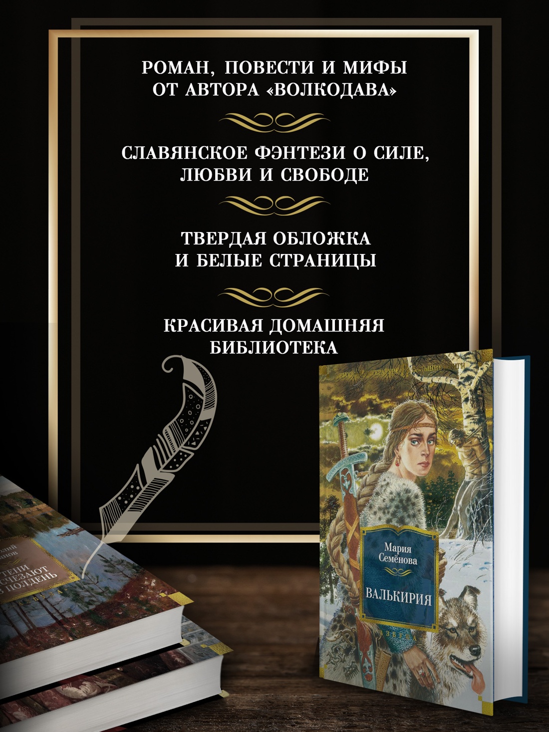 Промо материал к книге "Валькирия" №1