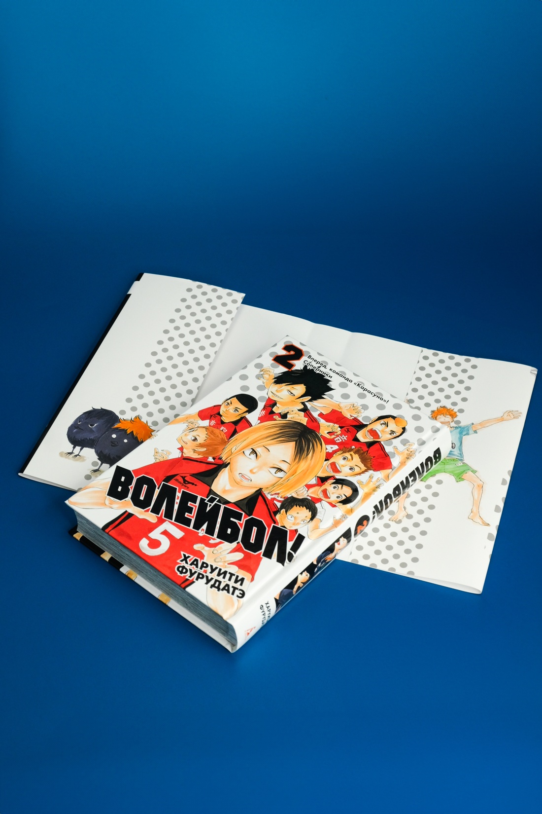 Промо материал к книге "Волейбол! Книга 2. Вперед, команда «Карасуно»! Соперники" №16