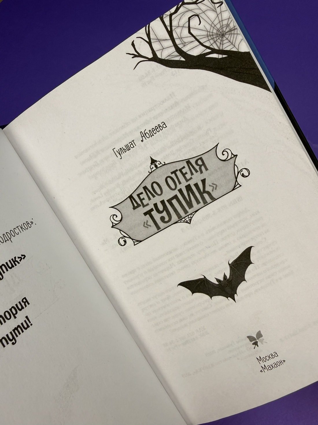 Промо материал к книге "Дело отеля «Тупик»" №10