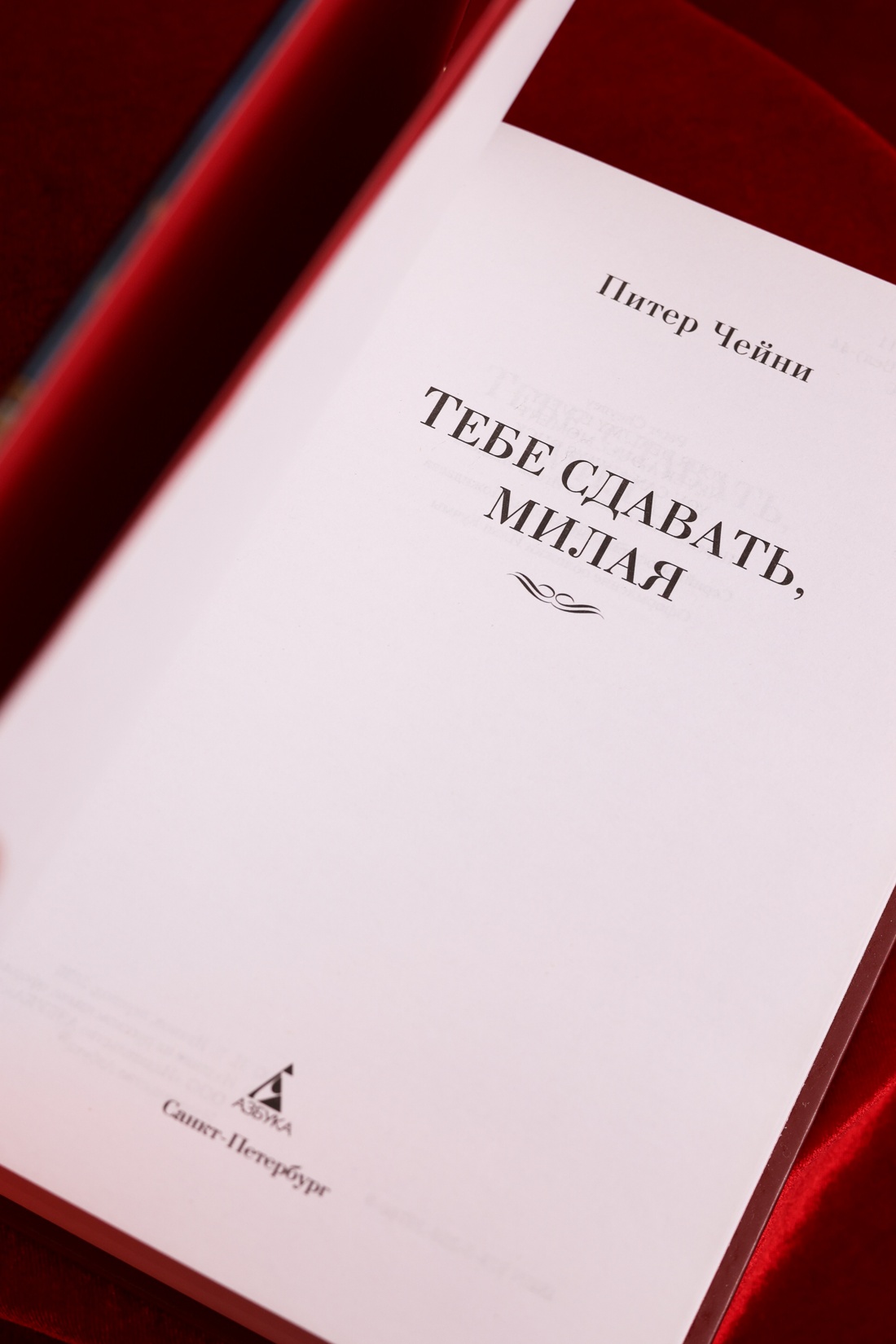 Промо материал к книге "Тебе сдавать, милая" №6