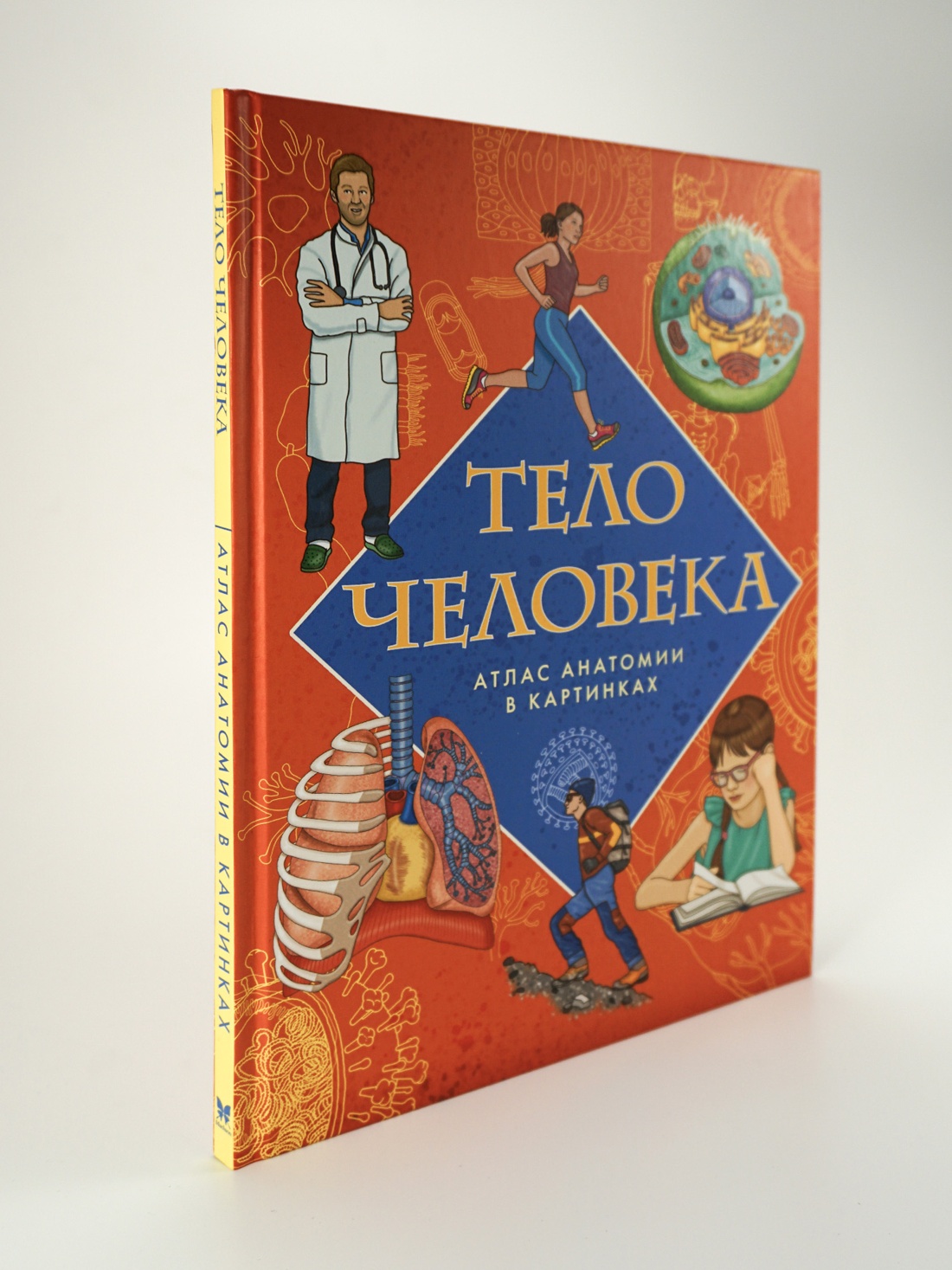 Промо материал к книге "Тело человека. Атлас анатомии в картинках" №0