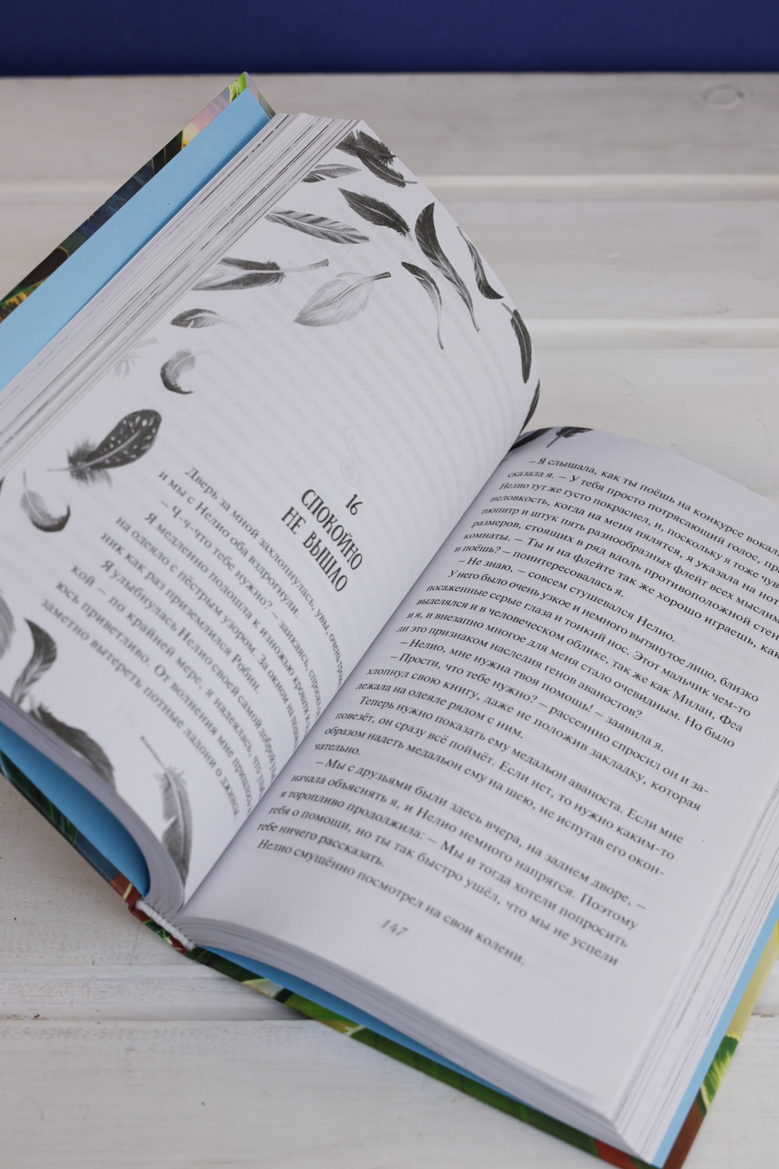 Промо материал к книге "Зачарованные крылья" №8