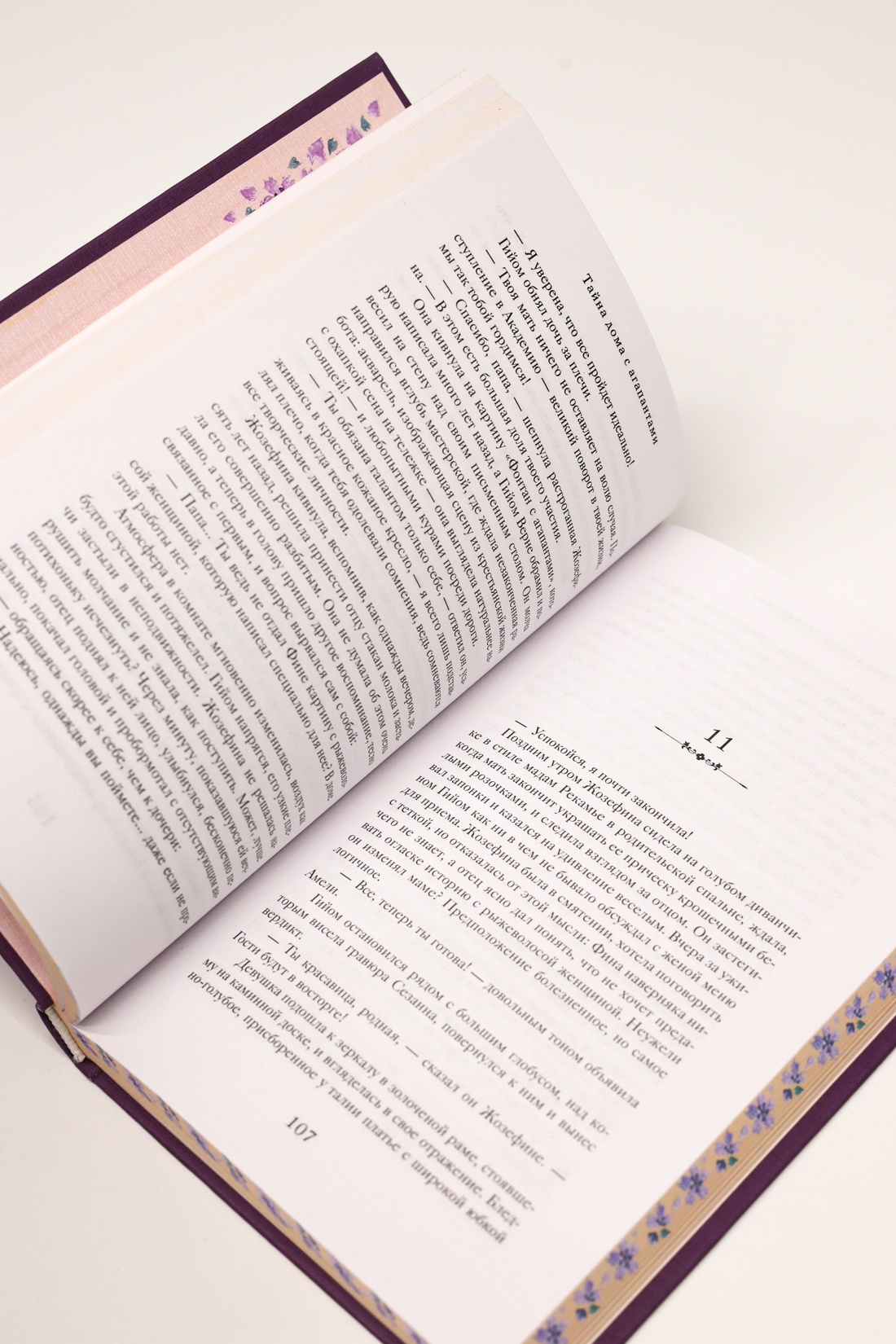 Промо материал к книге "Тайна дома с агапантами: Флора и Жозефина" №9